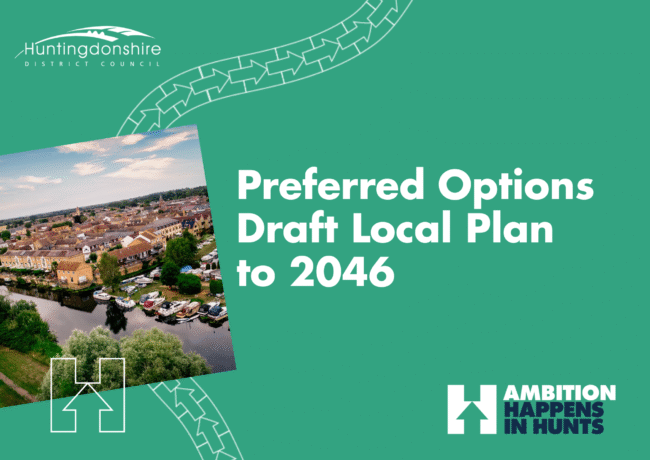 Local Plan 2025 banner (002)
